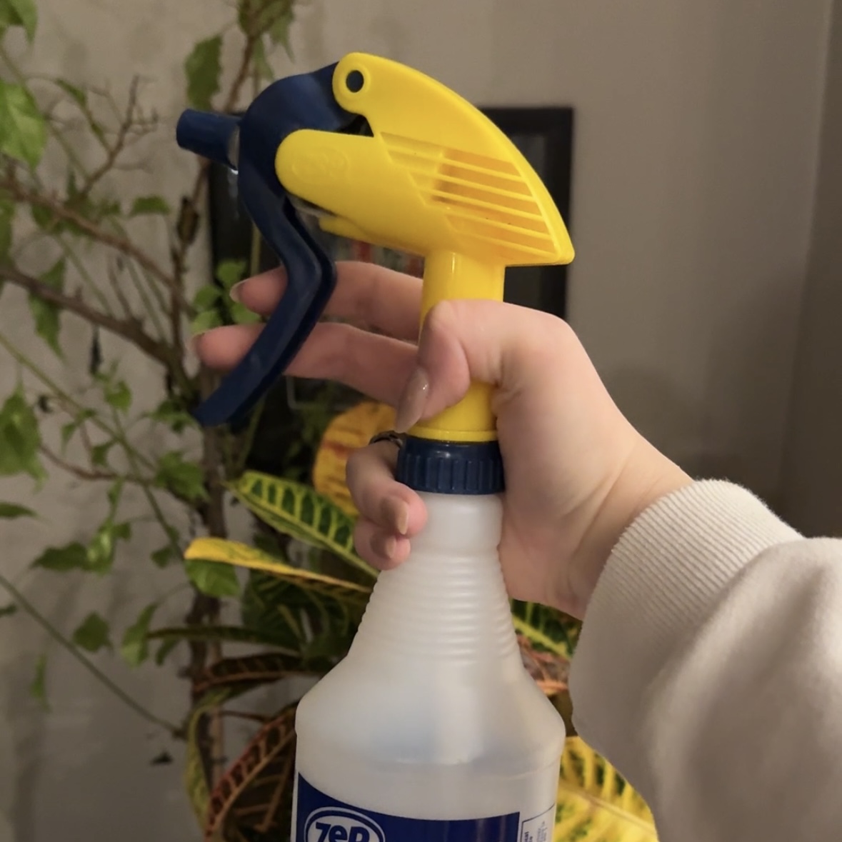 This is the spray bottle we use to water our plants and occasionally spray our cats when they are being bad. The sound effect is the bottle being sprayed.