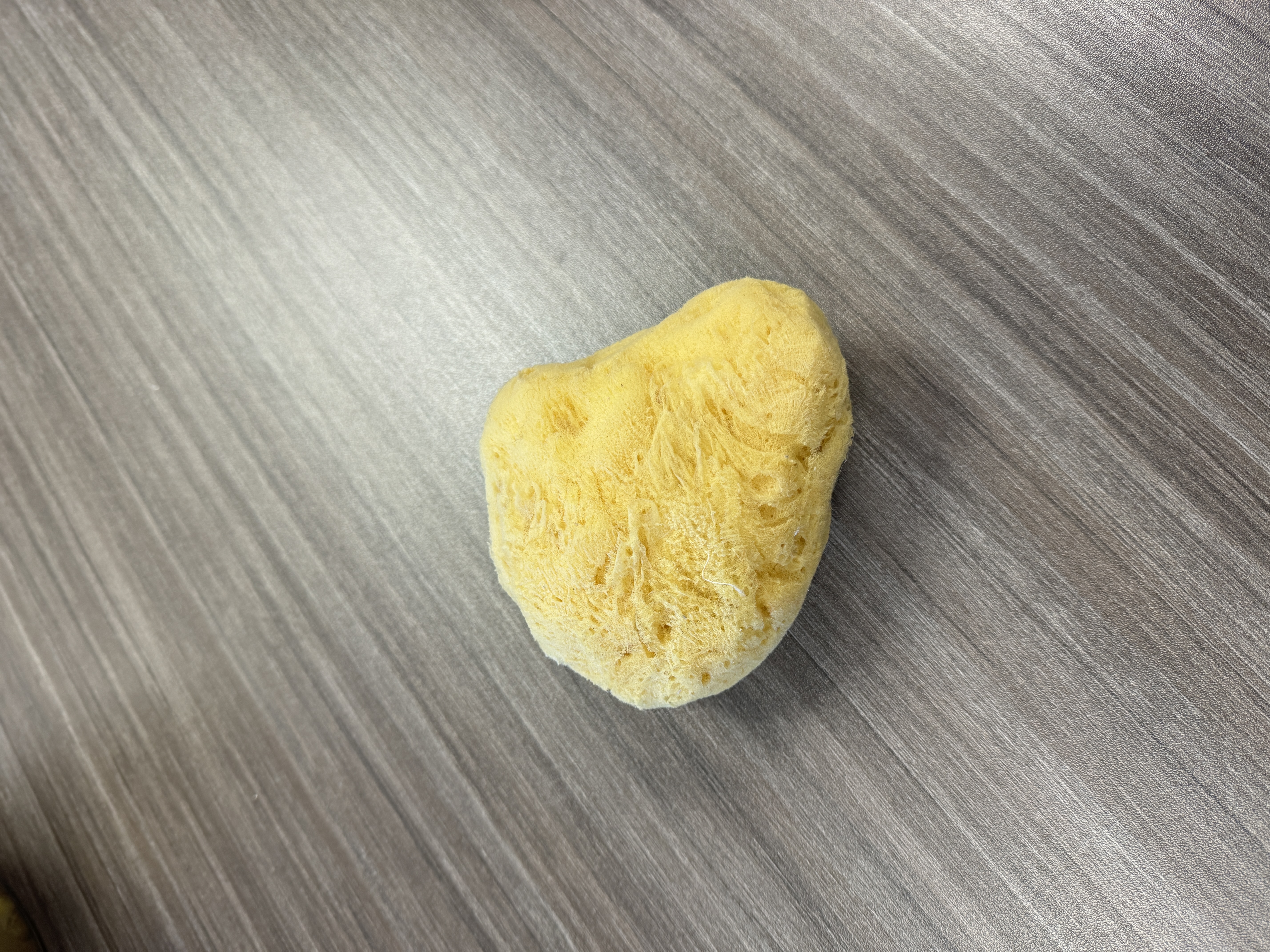 Image of a yellow sponge from materials workshop 2. 
