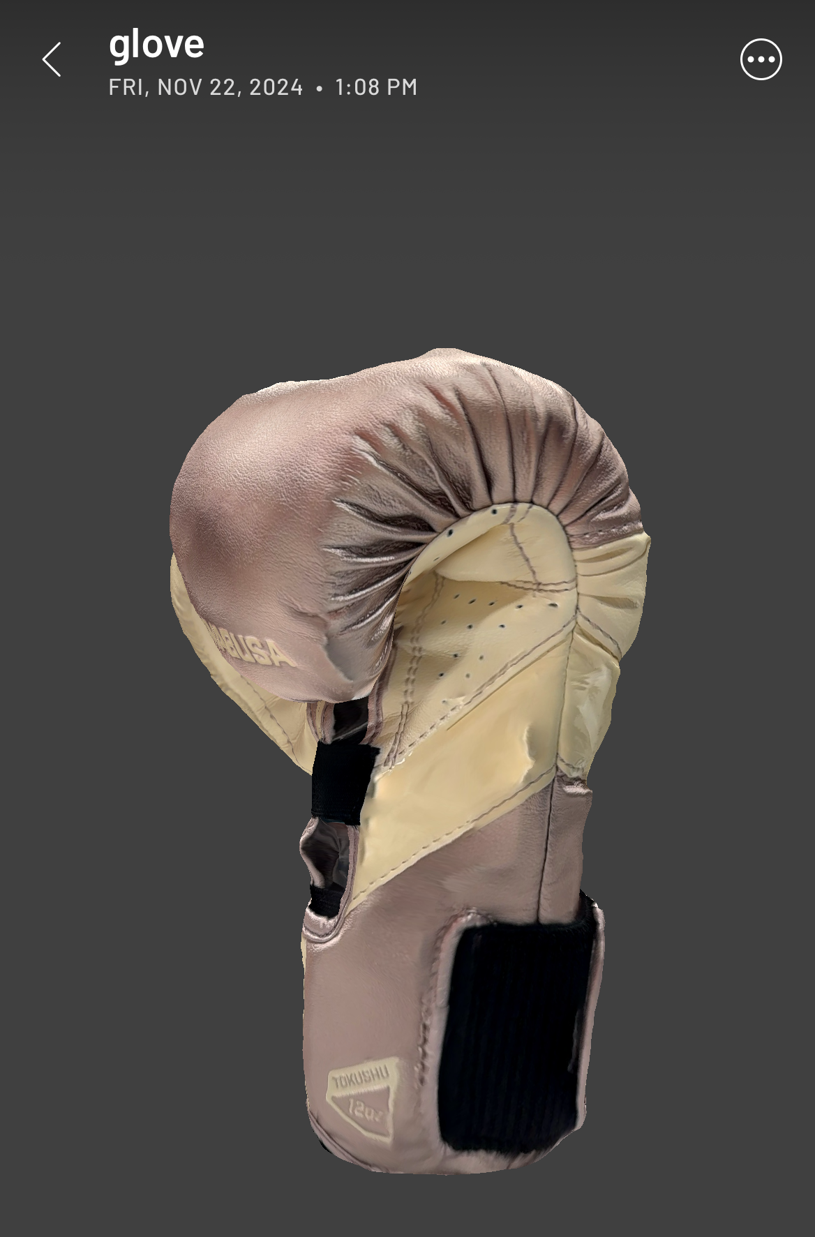 Scanned and edited version of my glove object.