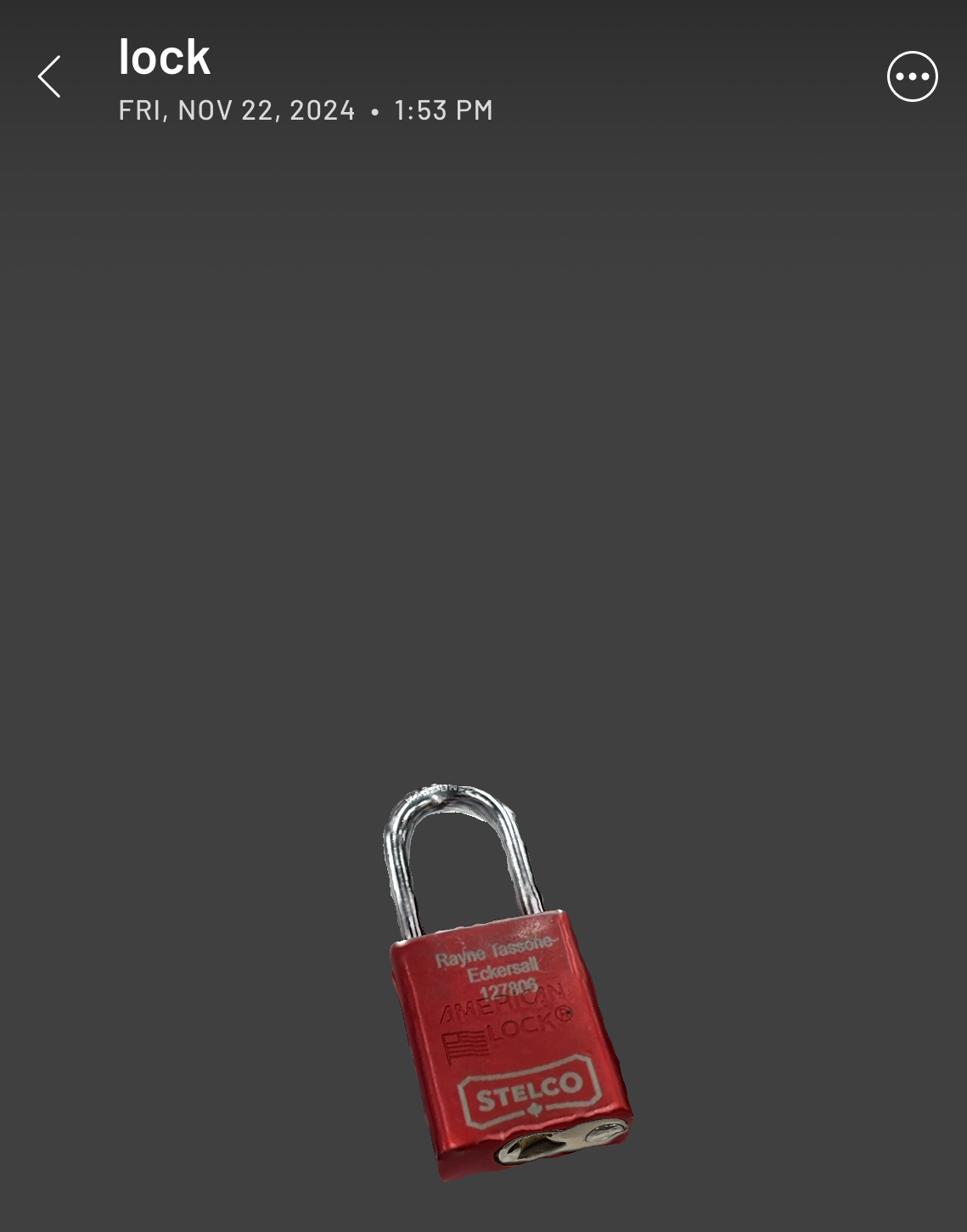 Scanned and edited version of my lock